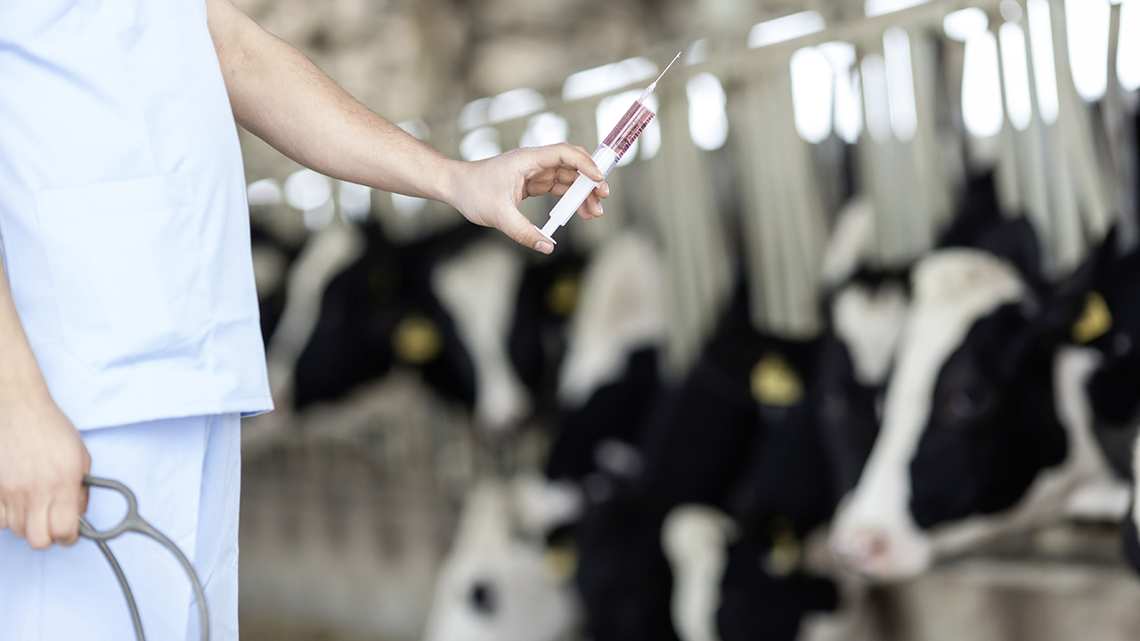 non aux antibiotiques